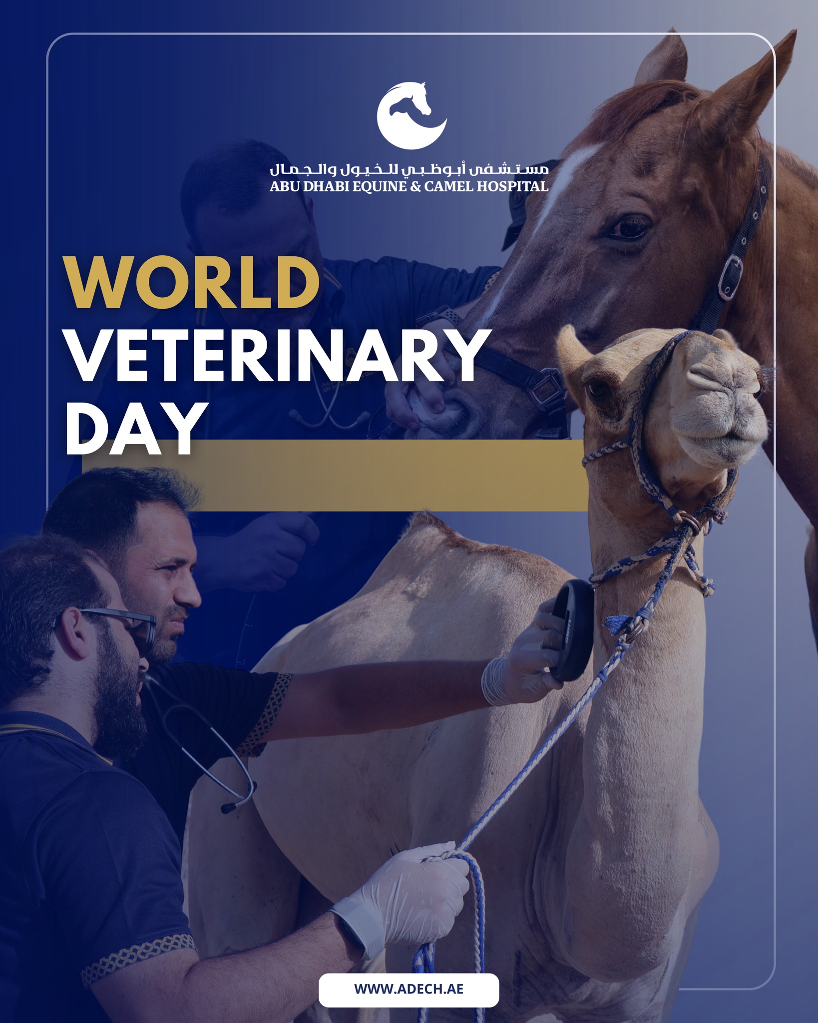 This World Veterinary Day, weβre celebrating everyone who works hard to care for animals β our vets, vet nurses, researchers, caretakers, and decision-makers. At ADECH, weβre proud to be part of a team that puts animal health and welfare first.
#ADECH #AbuDhabiEquineAndCamelHospital #VeterinaryCare #CaringForExcellence #WorldVeterinaryDay #WorldVetDay